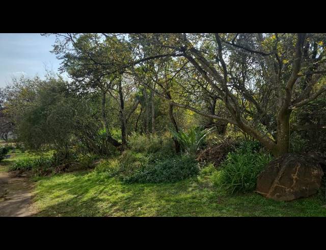 FARM FOR SALE IN CARLSWALD